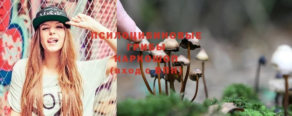 бутират Елабуга