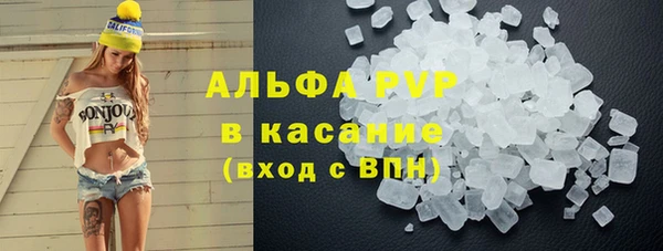 стафф Елизово