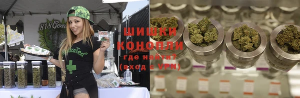 хмурый Ельня