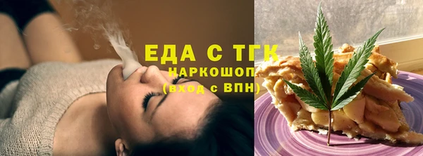 хмурый Ельня