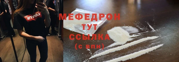 хмурый Ельня
