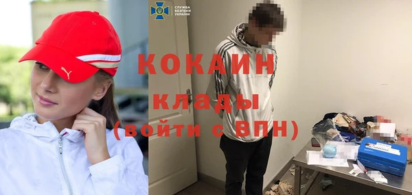 хмурый Ельня