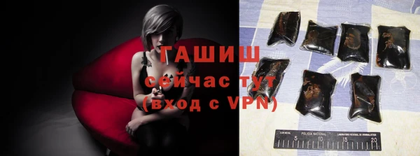 стафф Елизово