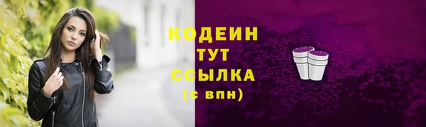 хмурый Ельня