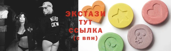 хмурый Ельня