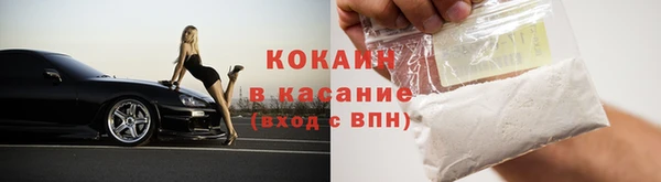 стафф Елизово
