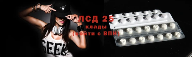 хмурый Ельня