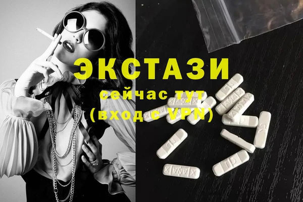хмурый Ельня
