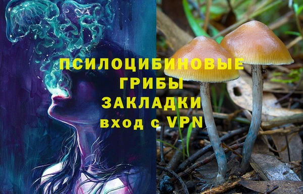 стафф Елизово
