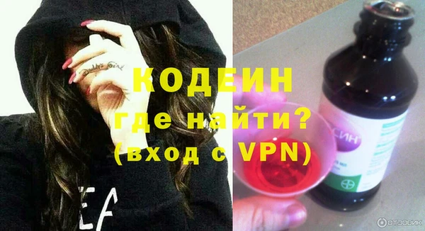 хмурый Ельня