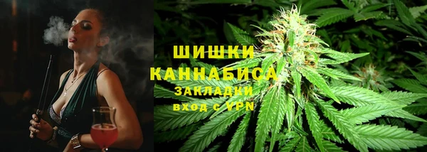 хмурый Ельня