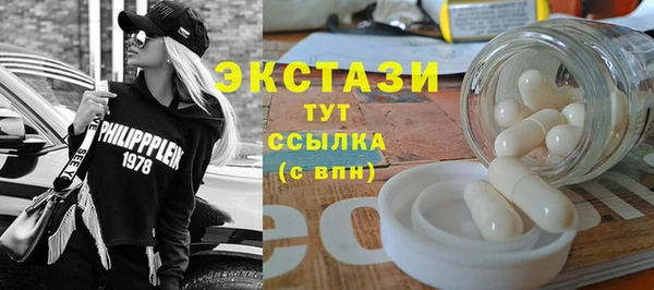 хмурый Ельня