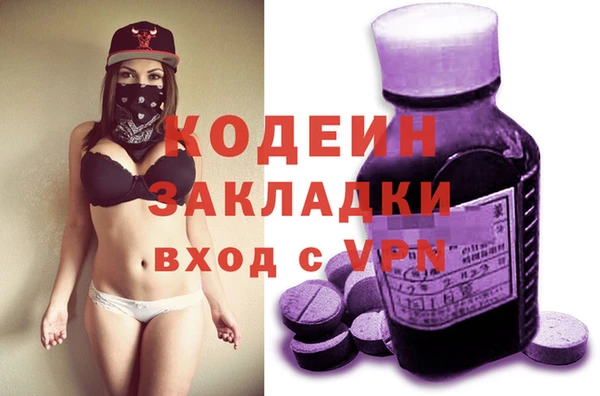хмурый Ельня