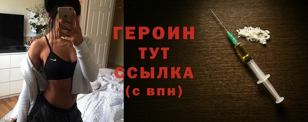 хмурый Ельня