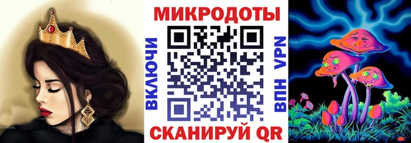 Купить где  Судак  Галлюциногенные грибы Psilocybine cubensis 